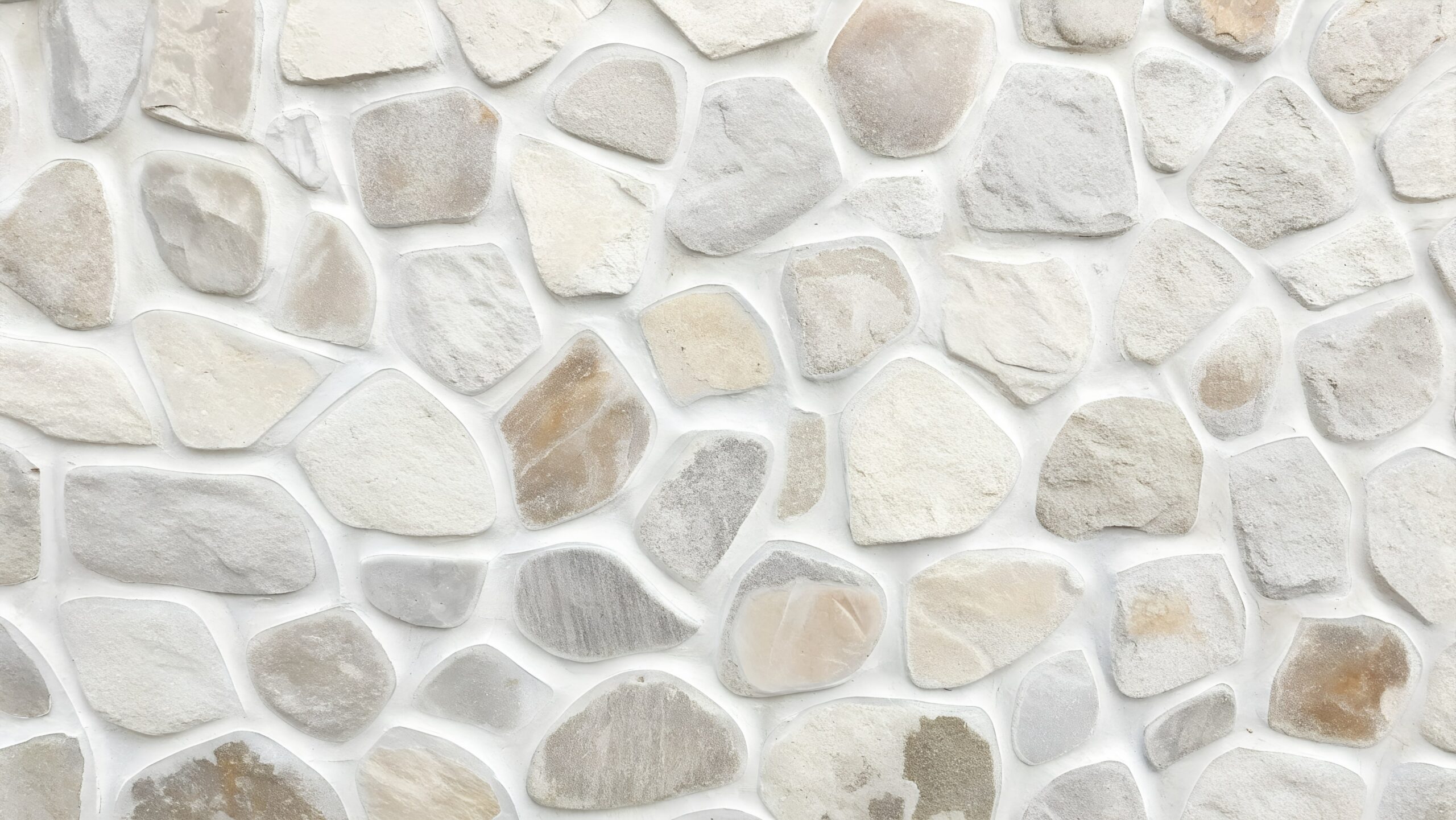 shutterstock_2685061565-min